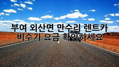 부여 외산면 만수리 렌트카 비수기 요금 확인하세요!