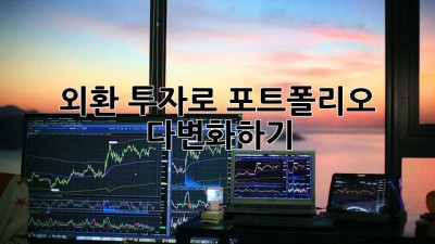외환 투자로 포트폴리오 다변화하기
