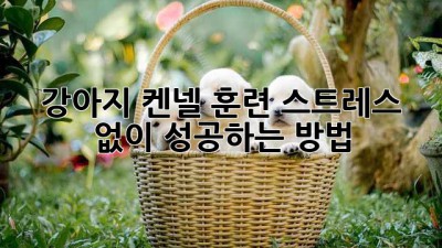 강아지 켄넬 훈련: 스트레스 없이 성공하는 방법