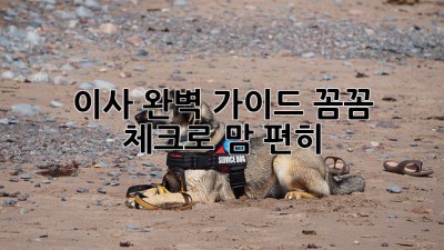 📦 이사 완벽 가이드: 꼼꼼 체크로 맘 편히! 🏡
